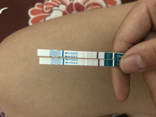 Ảnh