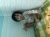 user_avatar