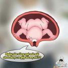 user_avatar