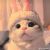 user_avatar