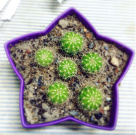 user_avatar