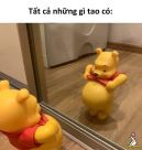user_avatar