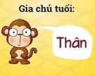 user_avatar