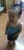 user_avatar