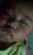 user_avatar